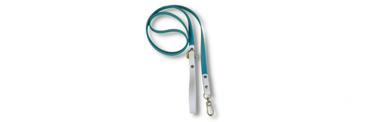 Biothane Standard Leash